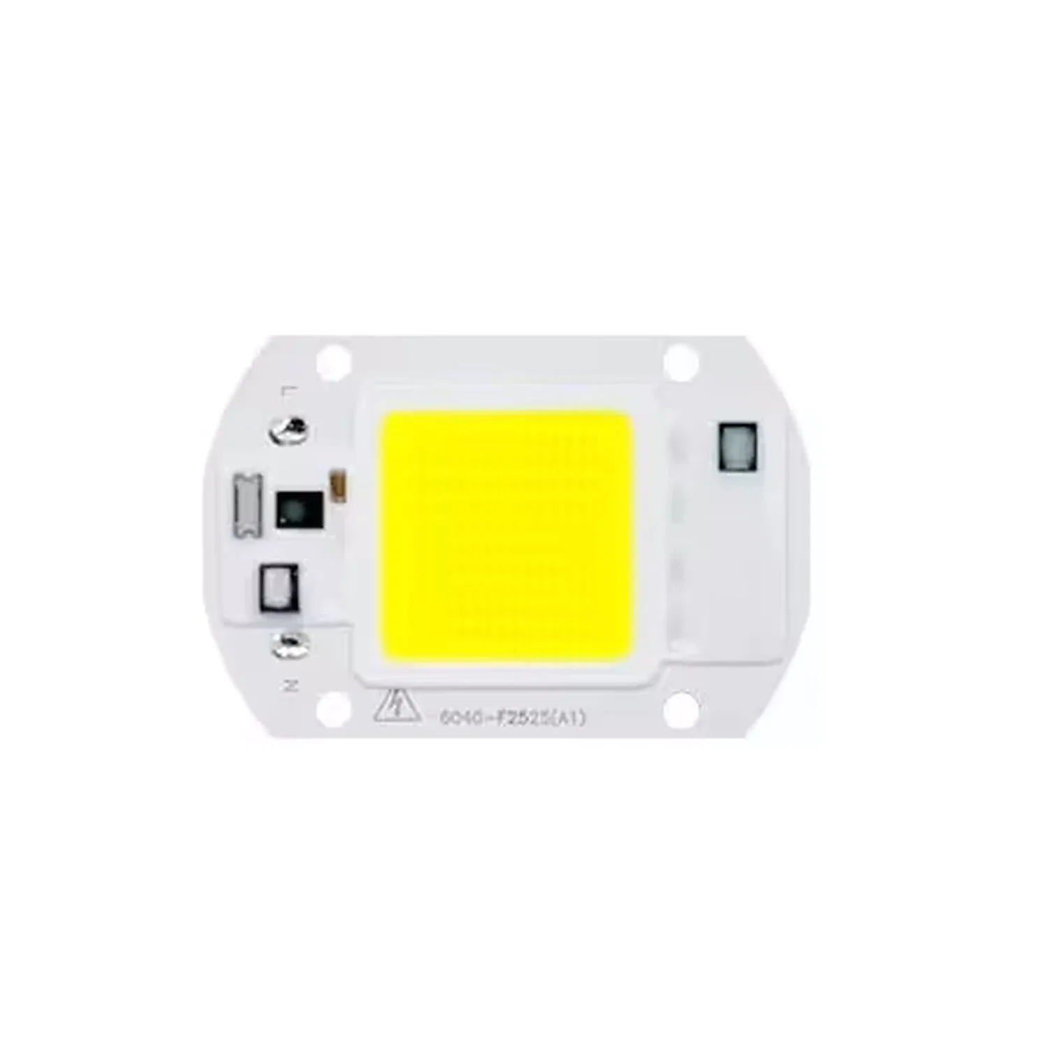 Module LED 50W 220V pour projecteur COLD WHITE