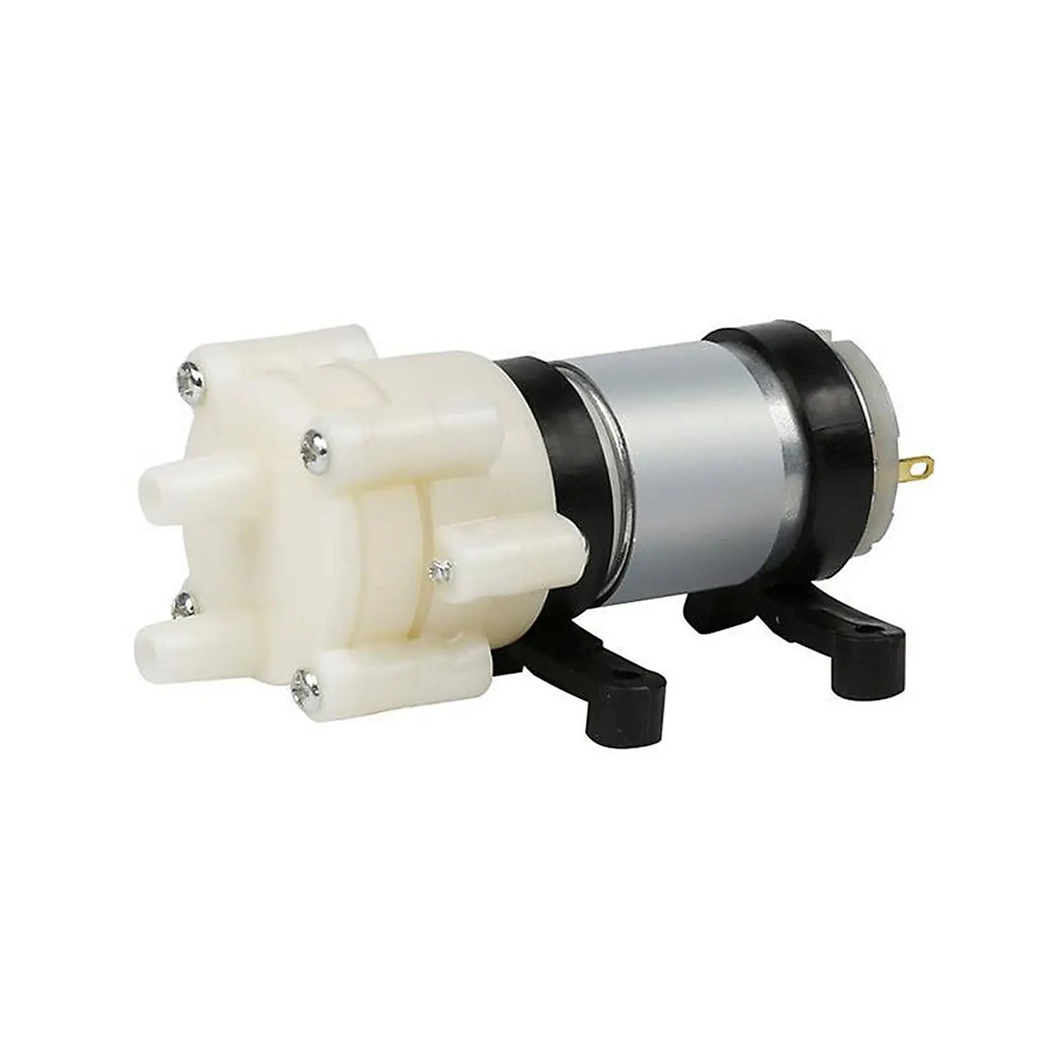 Pompe à eau 12V 365DC - Module pour projets robotiques et automatisation