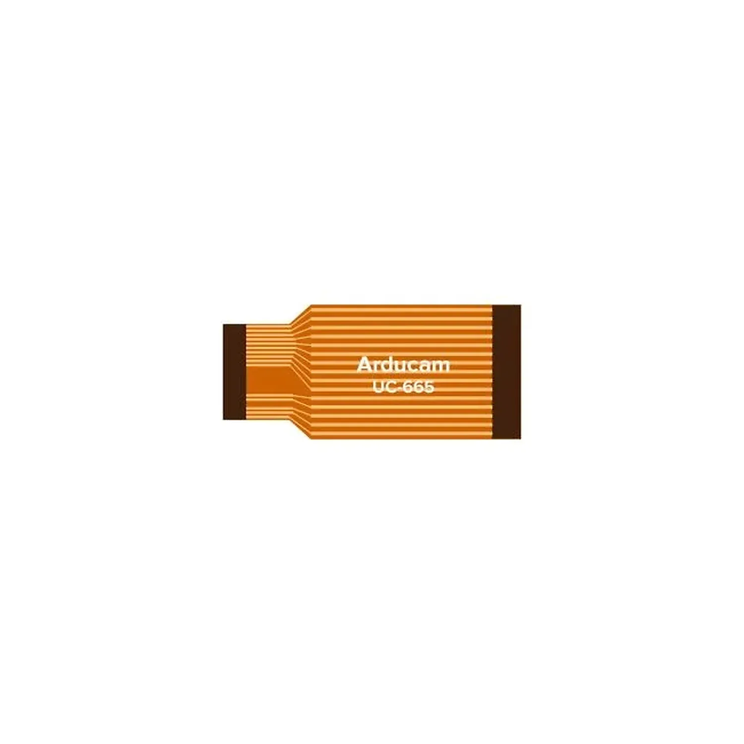 Câble plat 3.8cm pour Raspberry Pi - Accessoire de connectique
