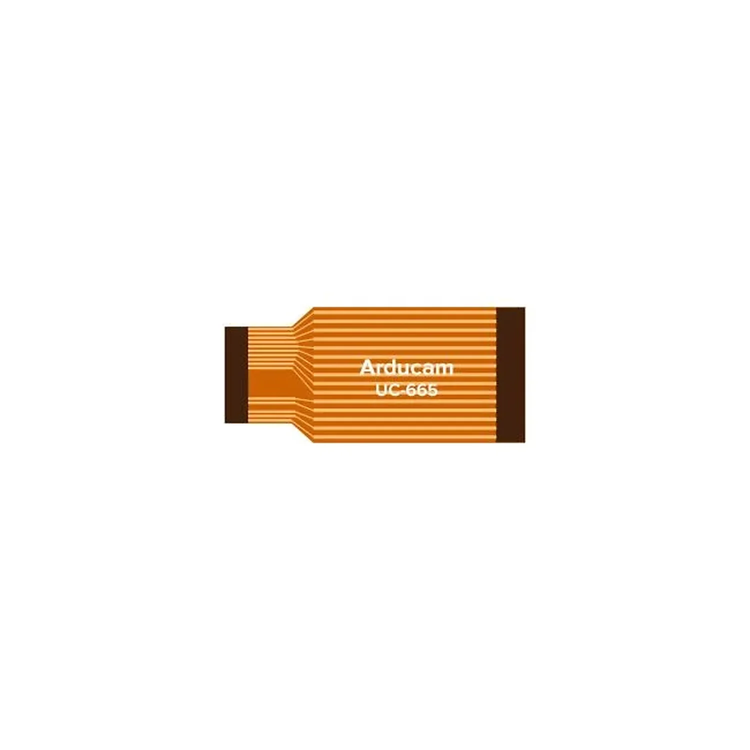 Câble plat 3.8cm pour Raspberry Pi - Accessoire de connectique